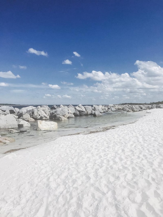 shell island gulf of mexico panama city beach