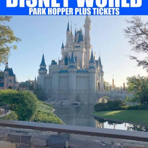 disney-travel-tips-archives-midgetmomma