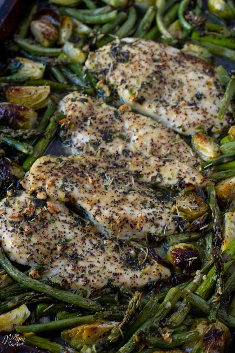 One Pan Chicken and Veggies