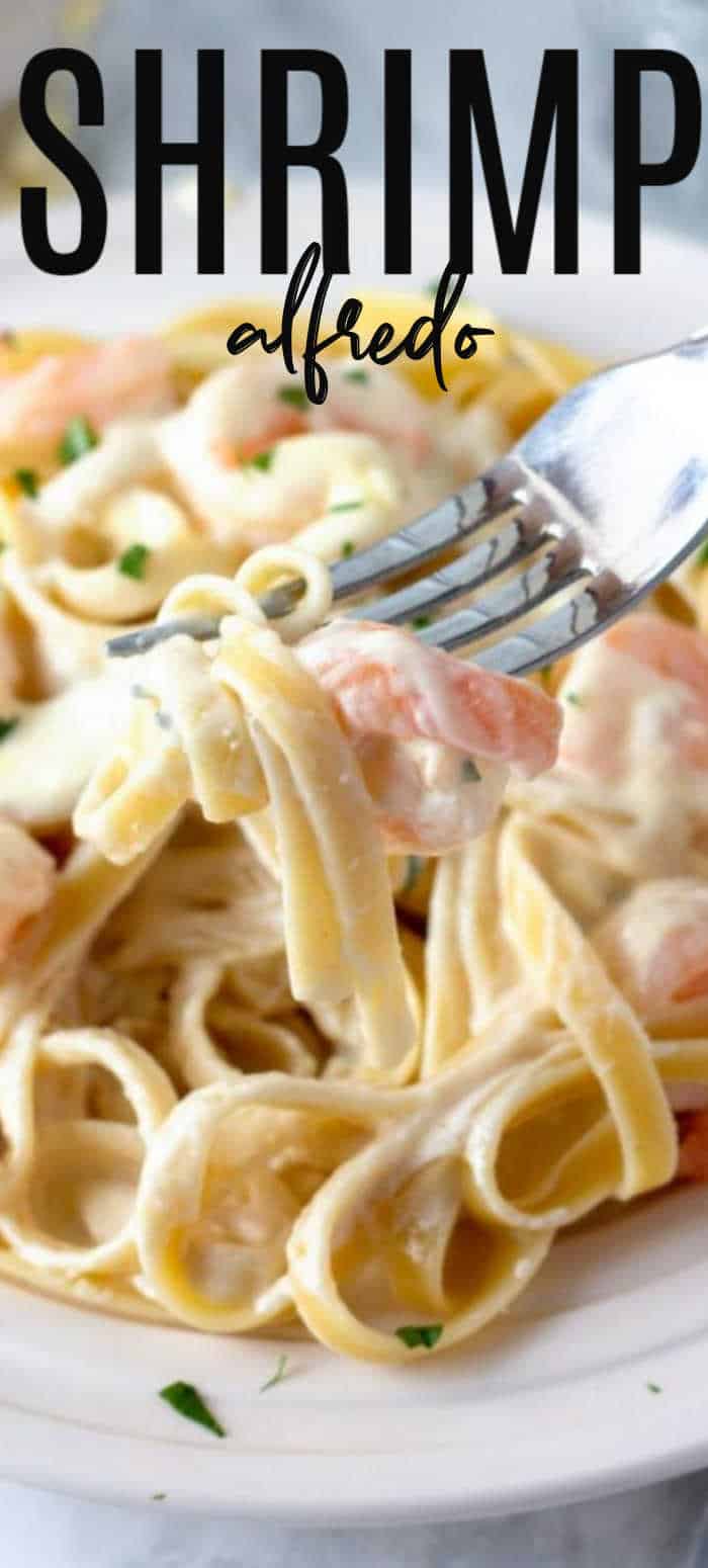 Shrimp Alfredo Pasta Recipe With Homemade Alfredo Sauce • MidgetMomma
