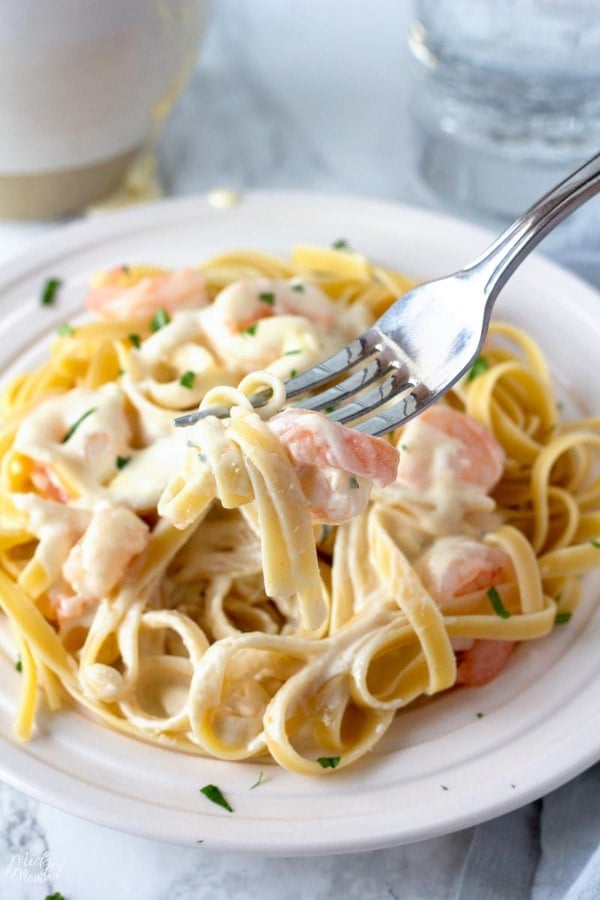 Shrimp Alfredo Recipe With Homemade Alfredo Sauce Midgetmomma