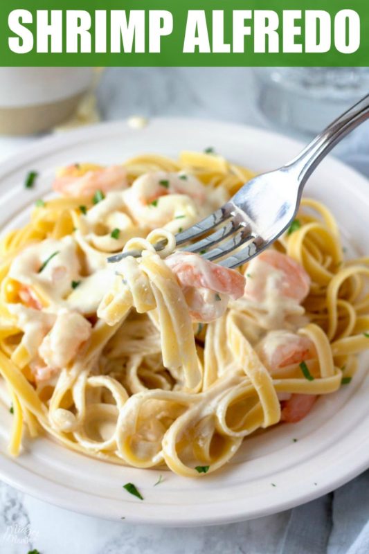 Olive Garden Shrimp Alfredo Recipe