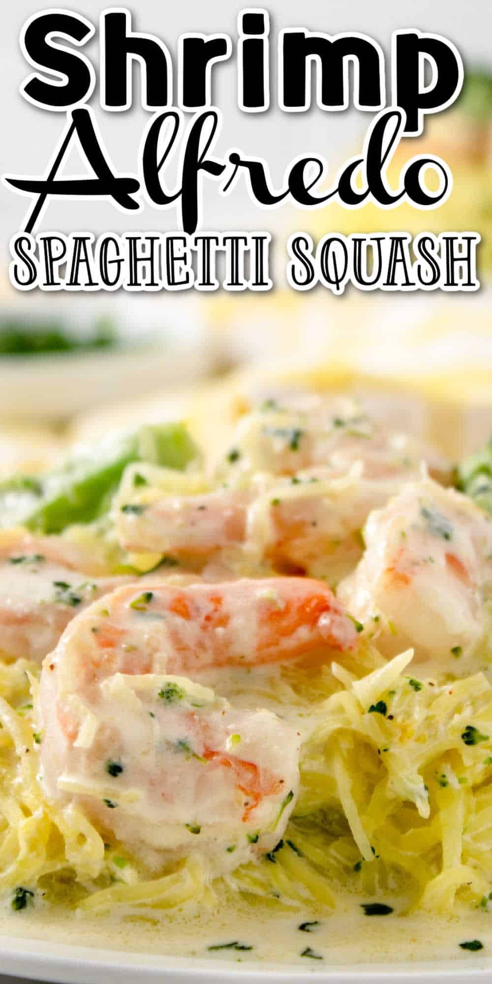 Shrimp Alfredo Spaghetti Squash with Broccoli Recipe • MidgetMomma
