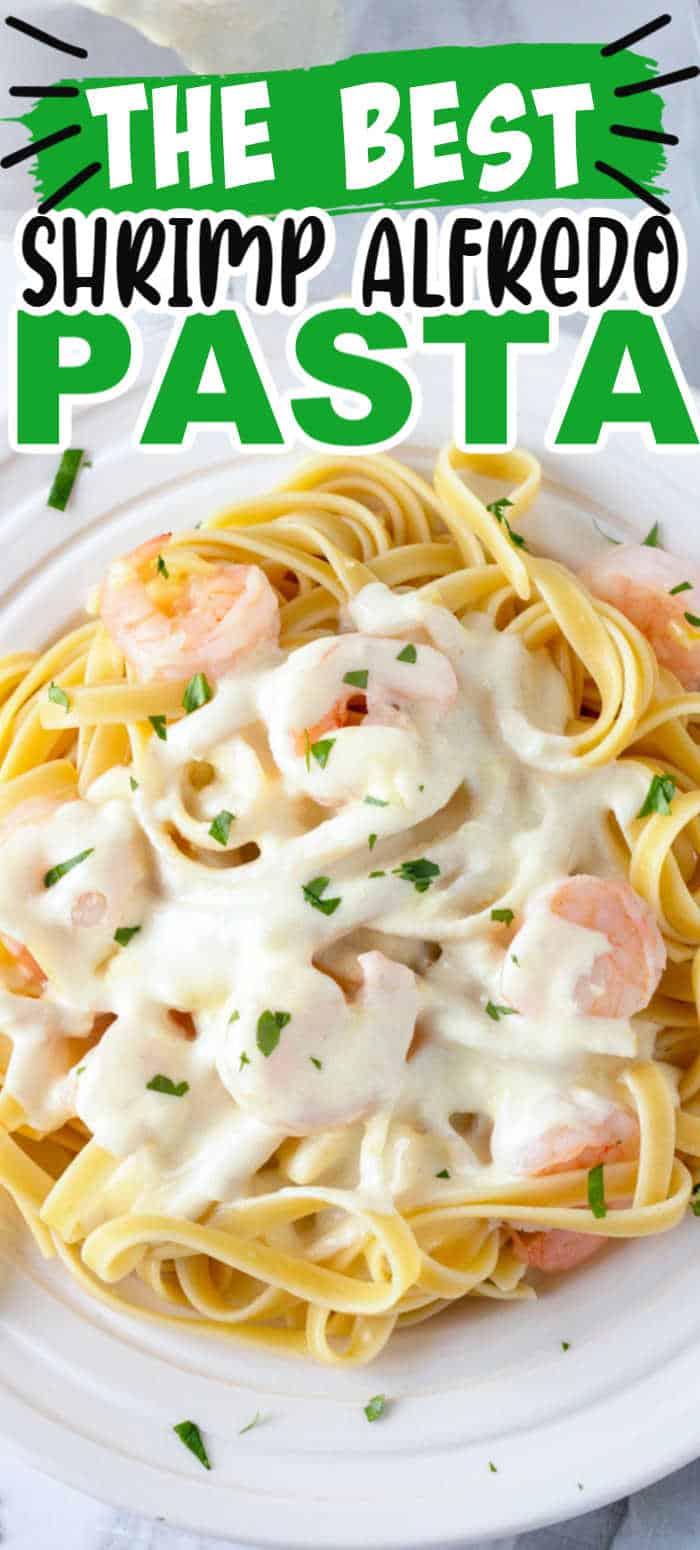 Shrimp Alfredo Pasta Recipe With Homemade Alfredo Sauce • MidgetMomma