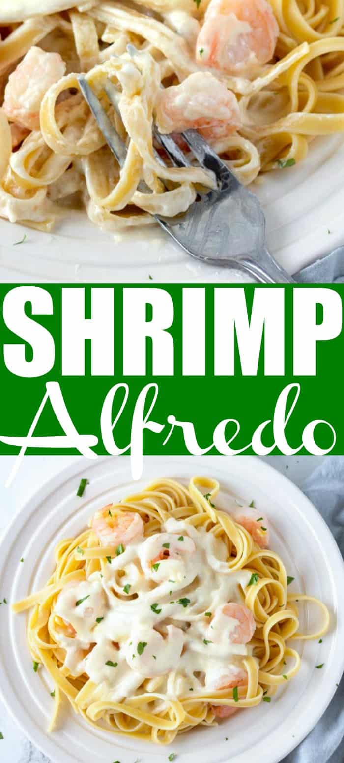 Shrimp Alfredo Pasta Recipe With Homemade Alfredo Sauce • MidgetMomma