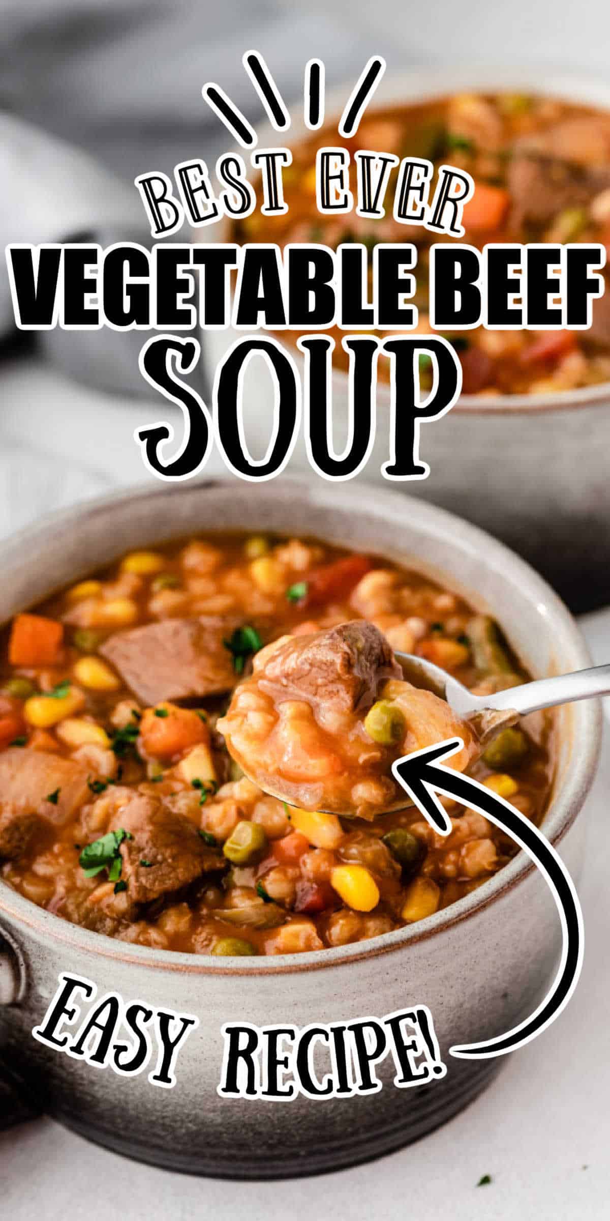 Slow Cooker Vegetable Beef Soup • MidgetMomma