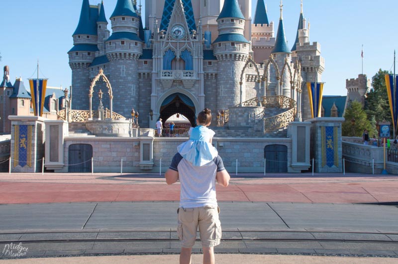 things to do in disney world