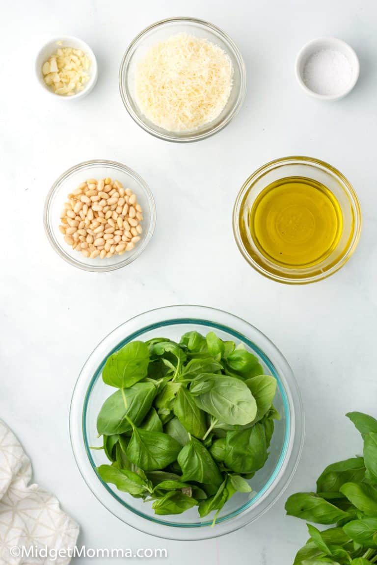How to Make Pesto (with Fresh Basil and Step by Step Directions)