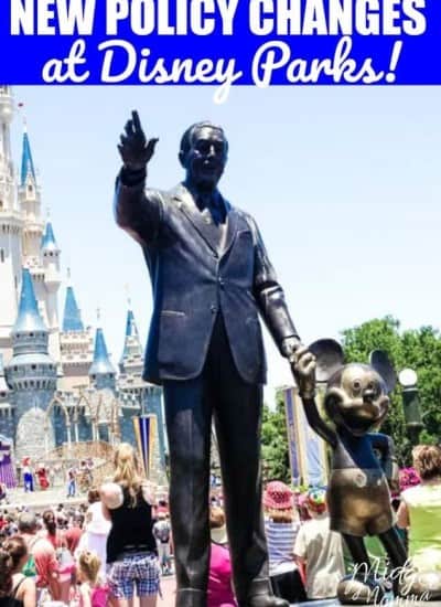 New Disney Parks Policy