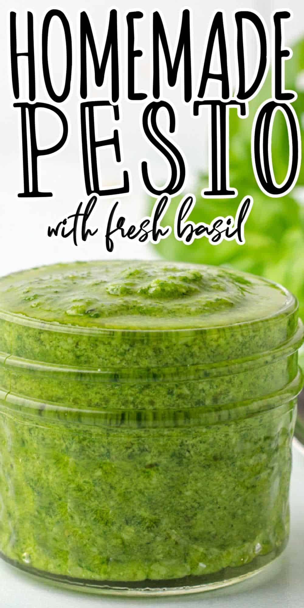 How to Make Pesto (with Fresh Basil and Step by Step Directions)