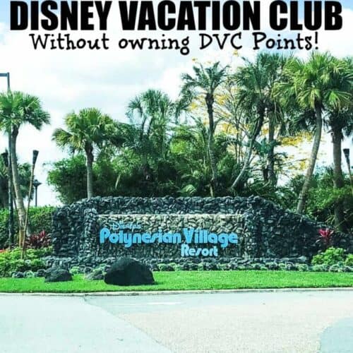 Disney Travel Tips Archives MidgetMomma disney-travel-tips-archives-midgetmomma