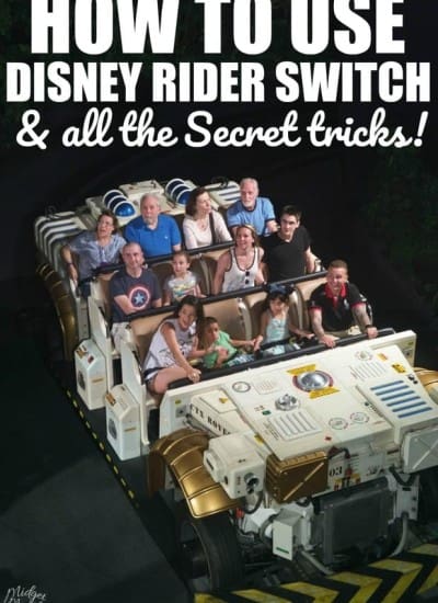 Rider Switch at Disney World