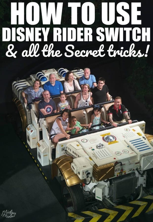Rider Switch at Disney World