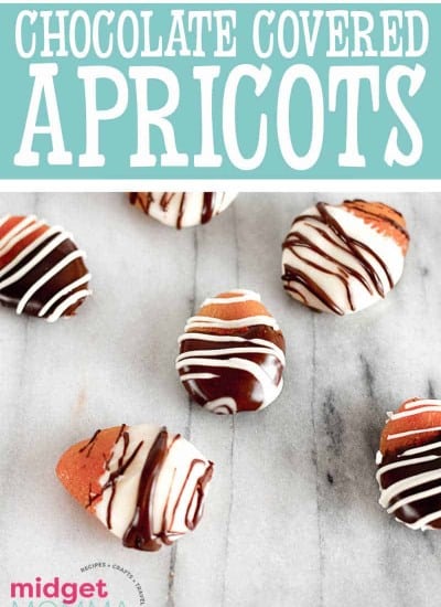 Chocolate Covered Dried Apricots RECIPE