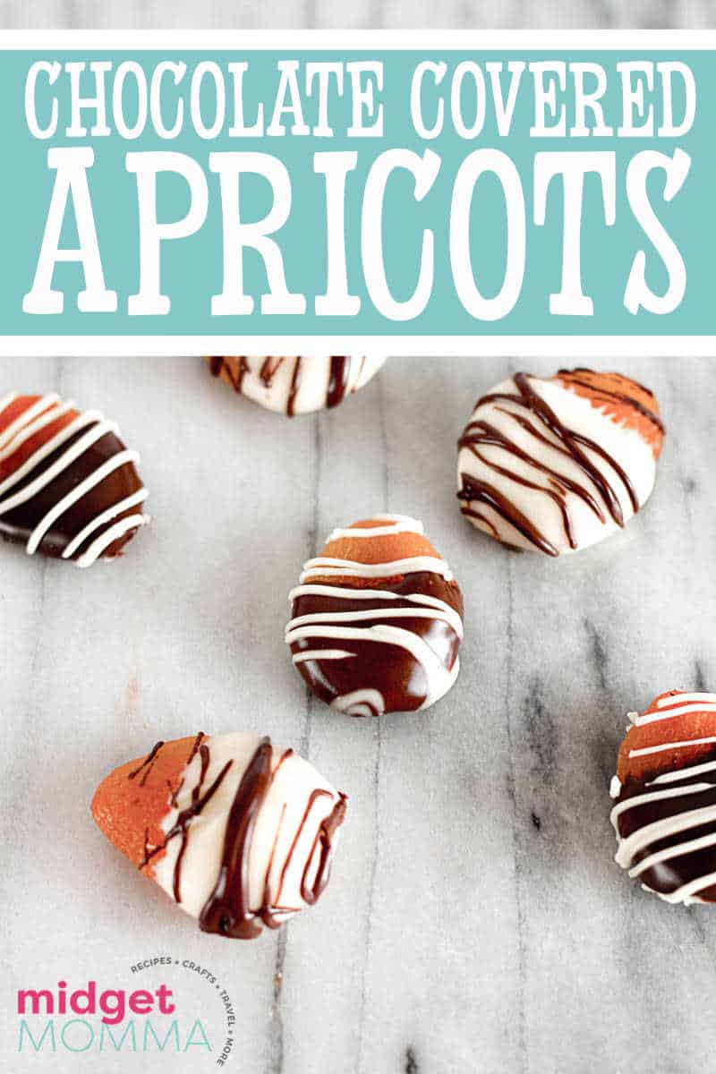 Chocolate Covered Dried Apricots RECIPE