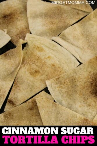 Baked Cinnamon Sugar Tortilla Chip on a plate