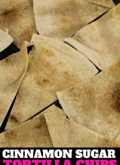Baked Cinnamon Sugar Tortilla Chip on a plate
