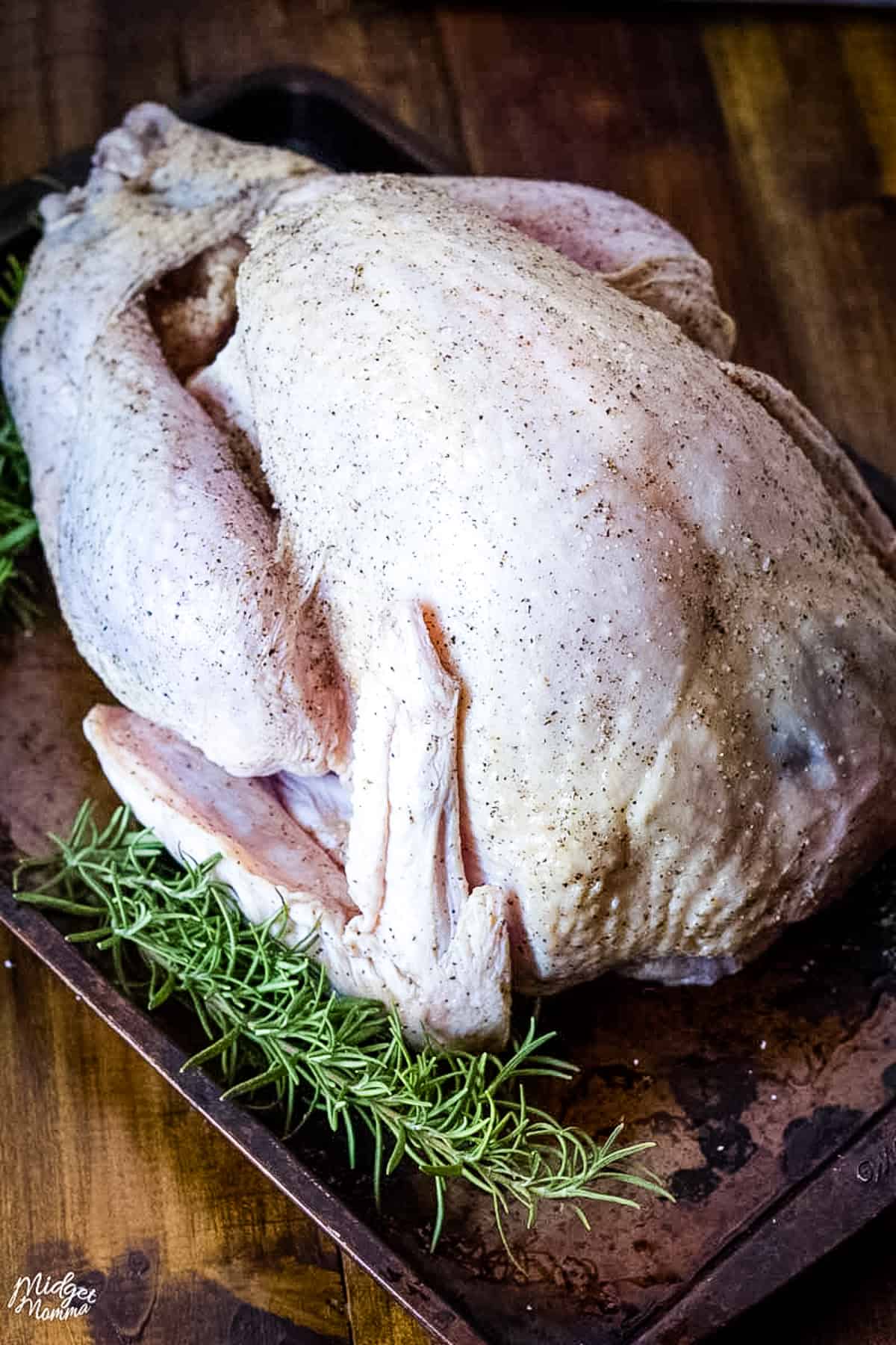 A roast turkey on a baking sheet with rosemary sprigs.
