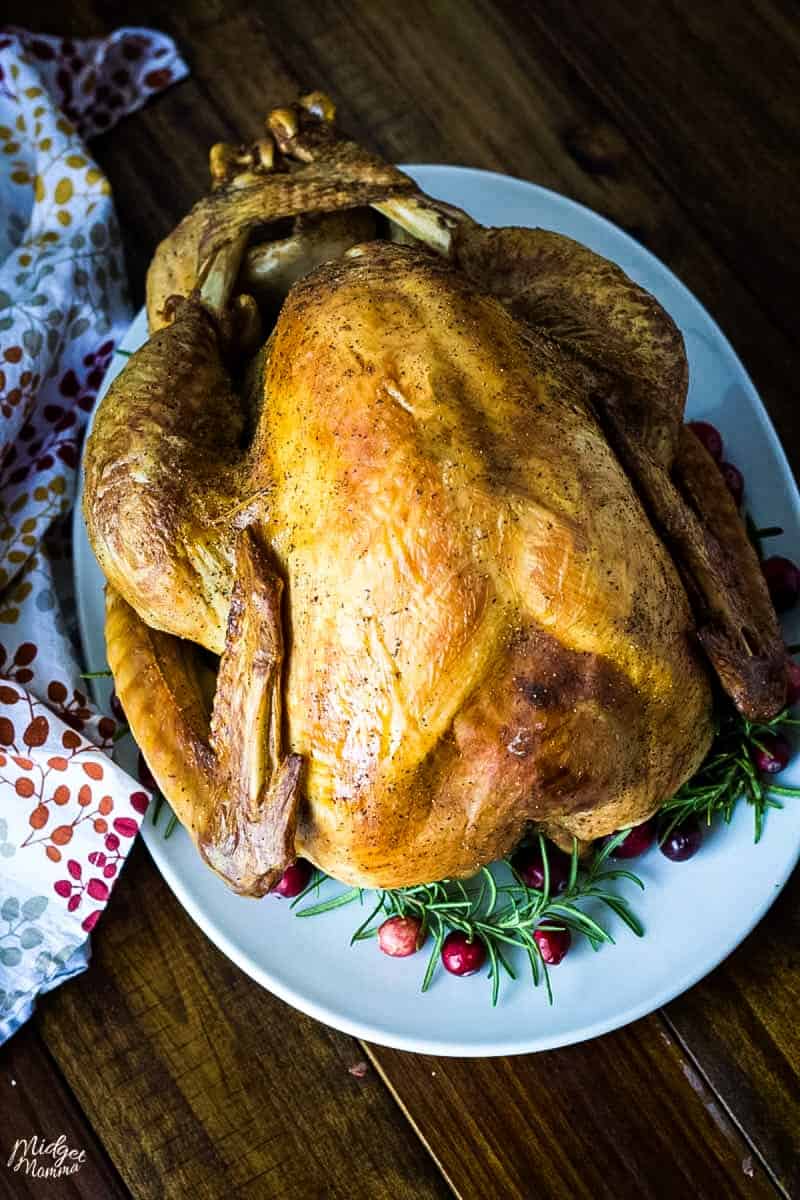 Brown Sugar and Salt Dry Brine Turkey Recipe • MidgetMomma