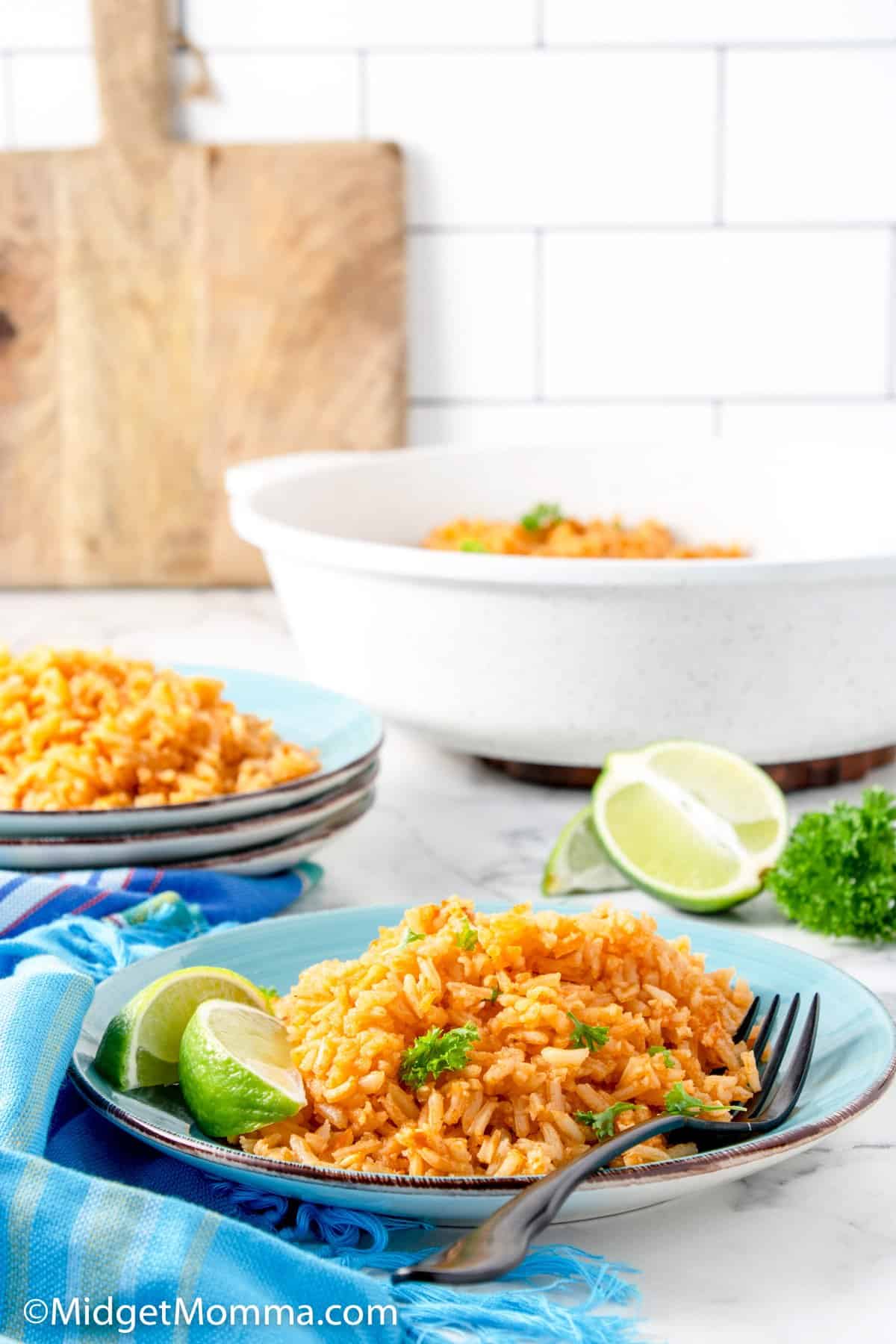 Mexican Rice Recipe
