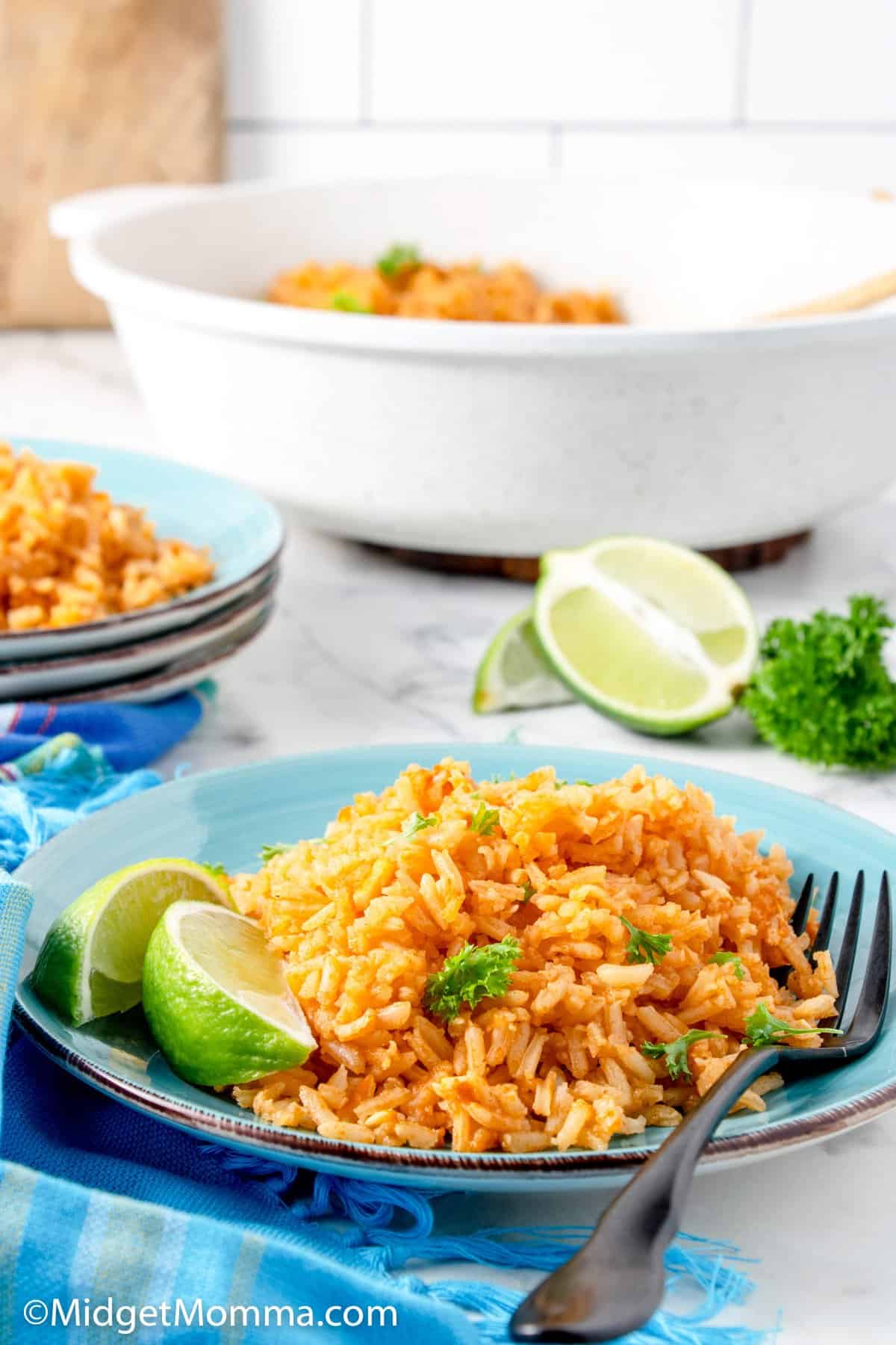 Easy Mexican Rice Recipe