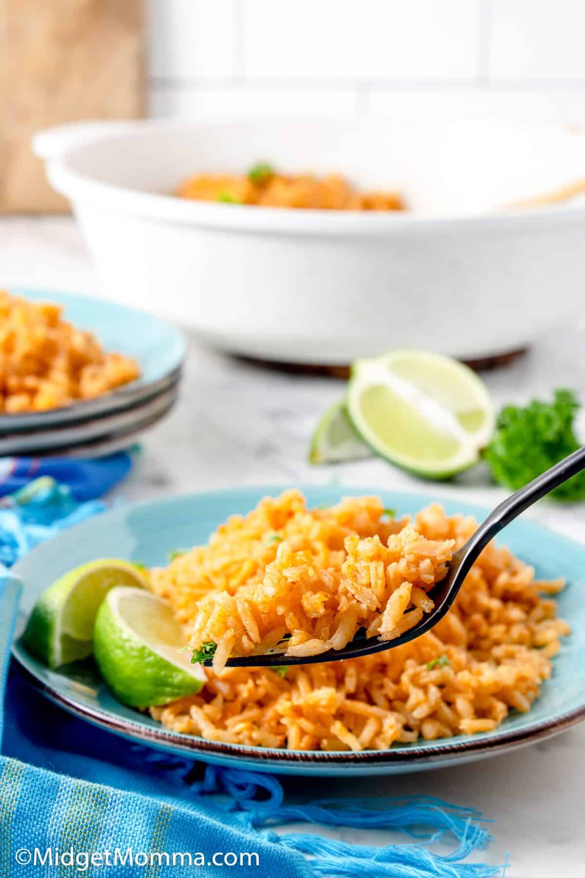 Easy Mexican Rice Recipe