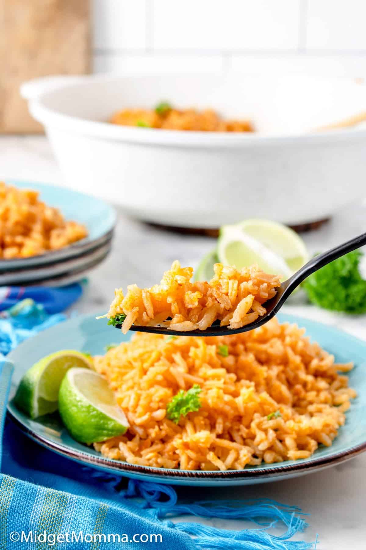 Easy Mexican Rice Recipe