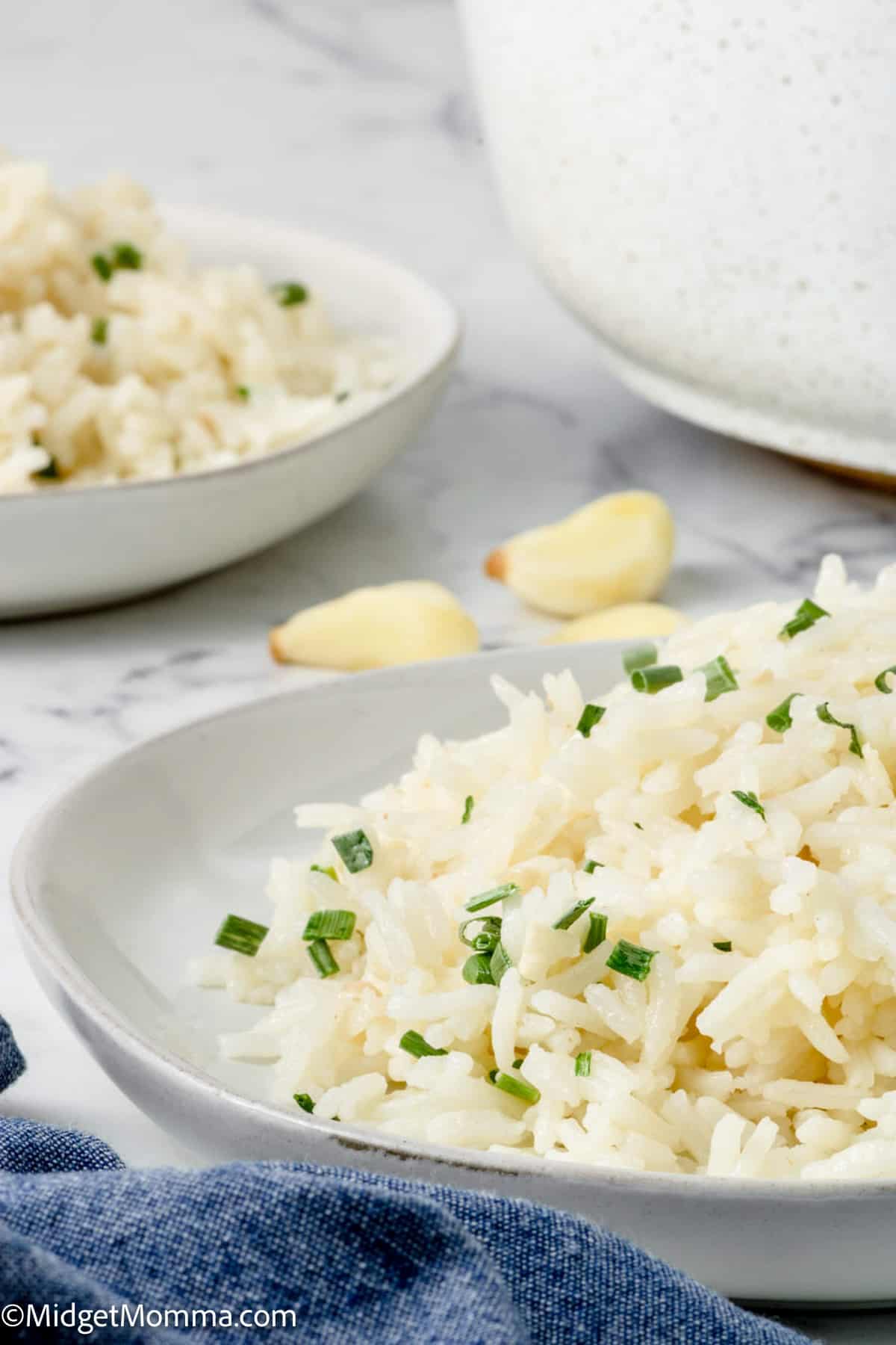 Garlic Rice Recipe