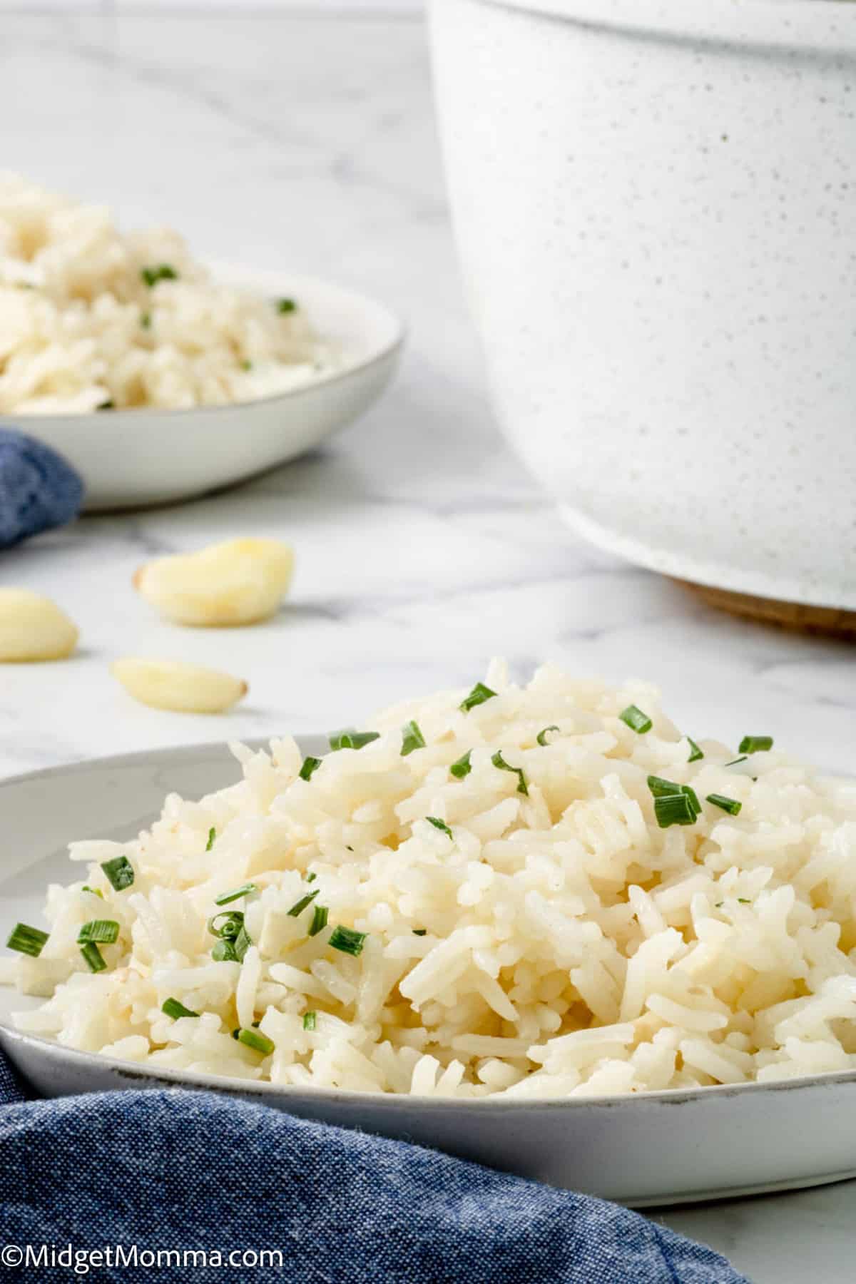 Garlic Rice Recipe