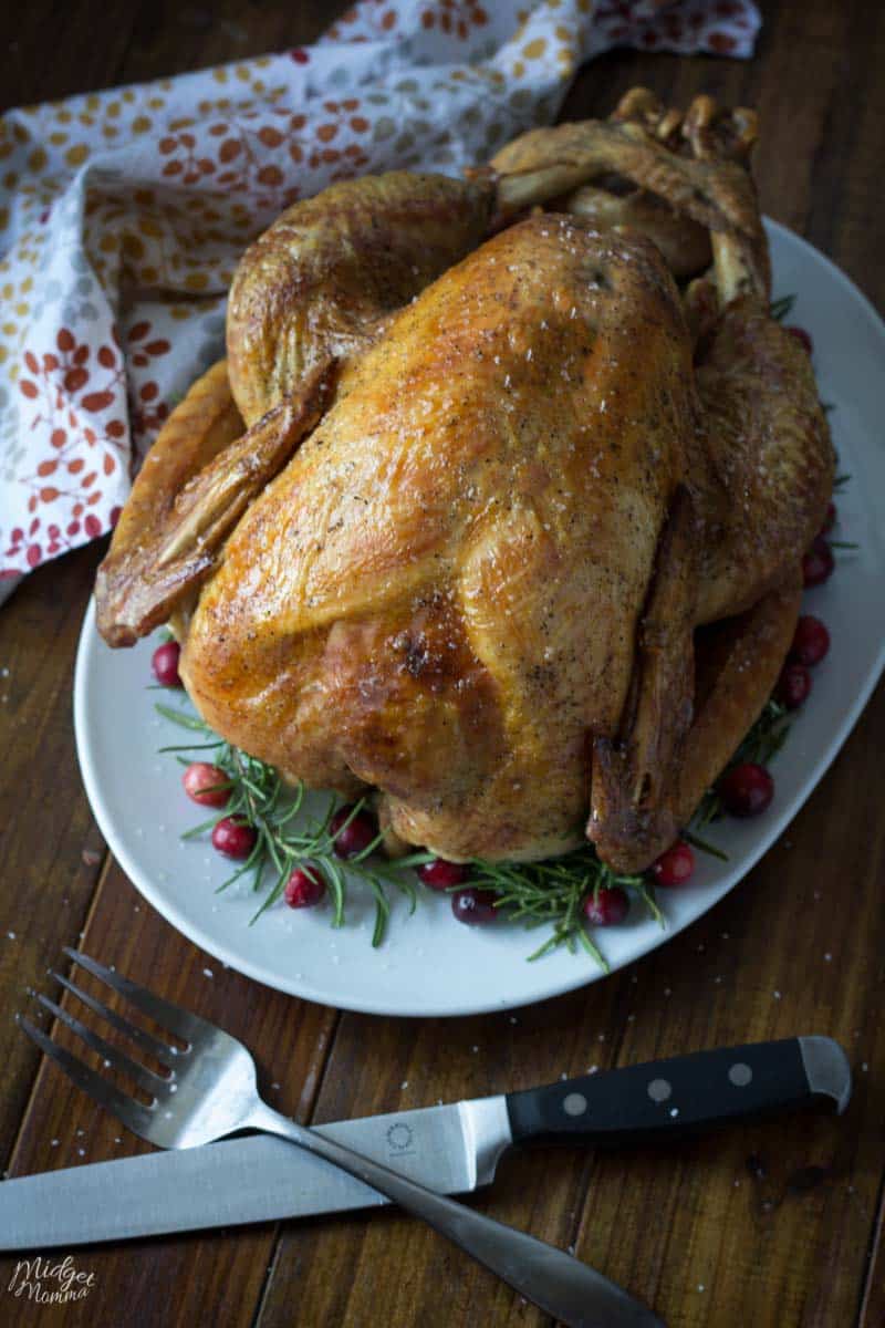 Brown Sugar and Salt Dry Brine Turkey Recipe • MidgetMomma