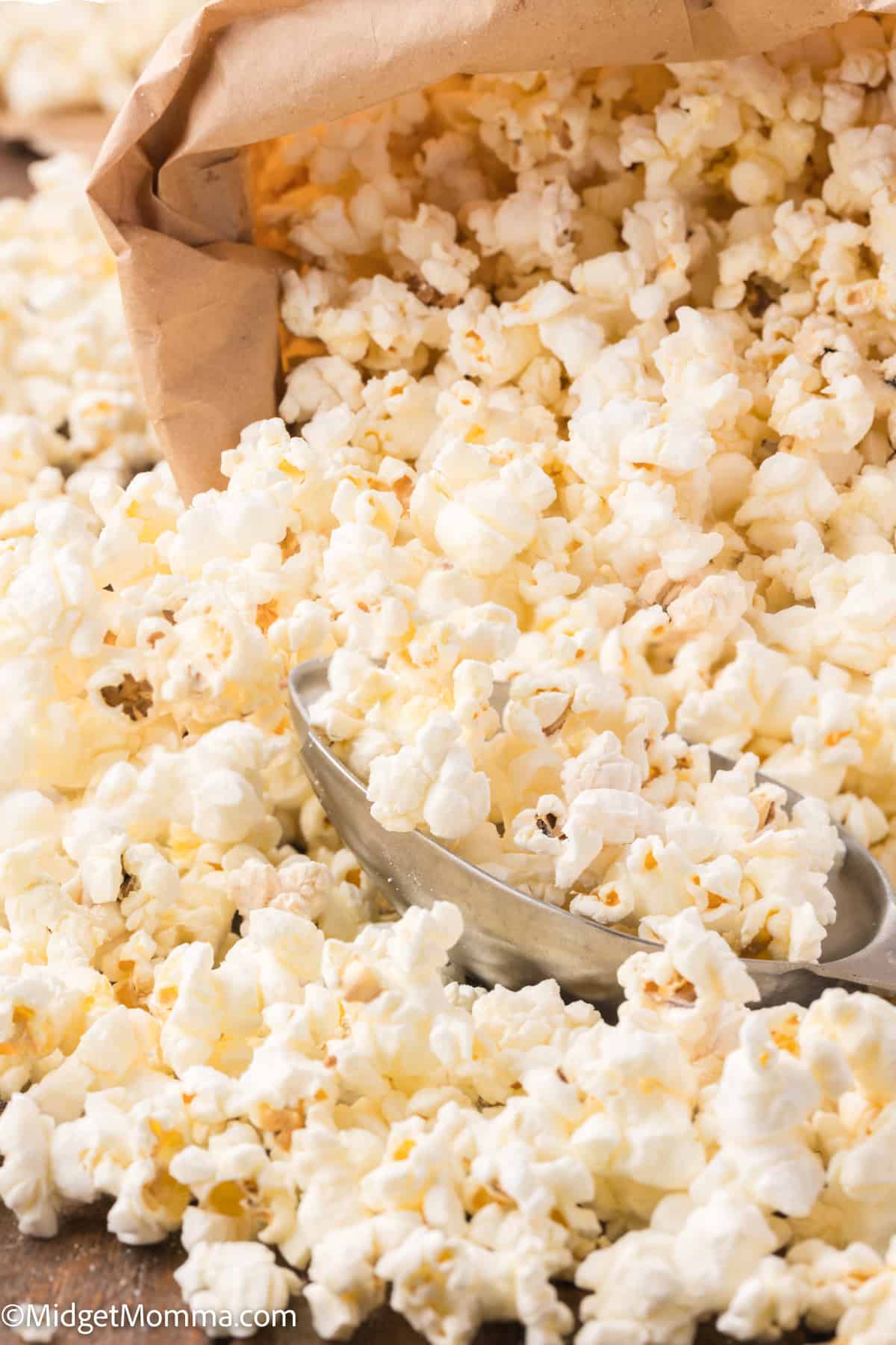 A close-up of a scoop of fresh popped popcorn.