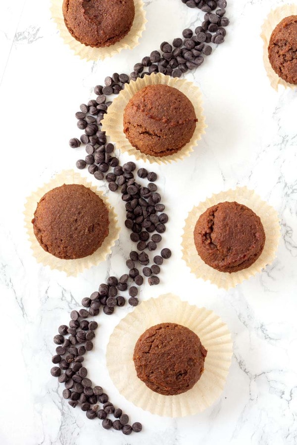 sugar free chocolate cupcakes on the kitchen counter