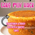 boxed cake mix hack - How to Make a Box Cake Mix taste like a bakery-6
