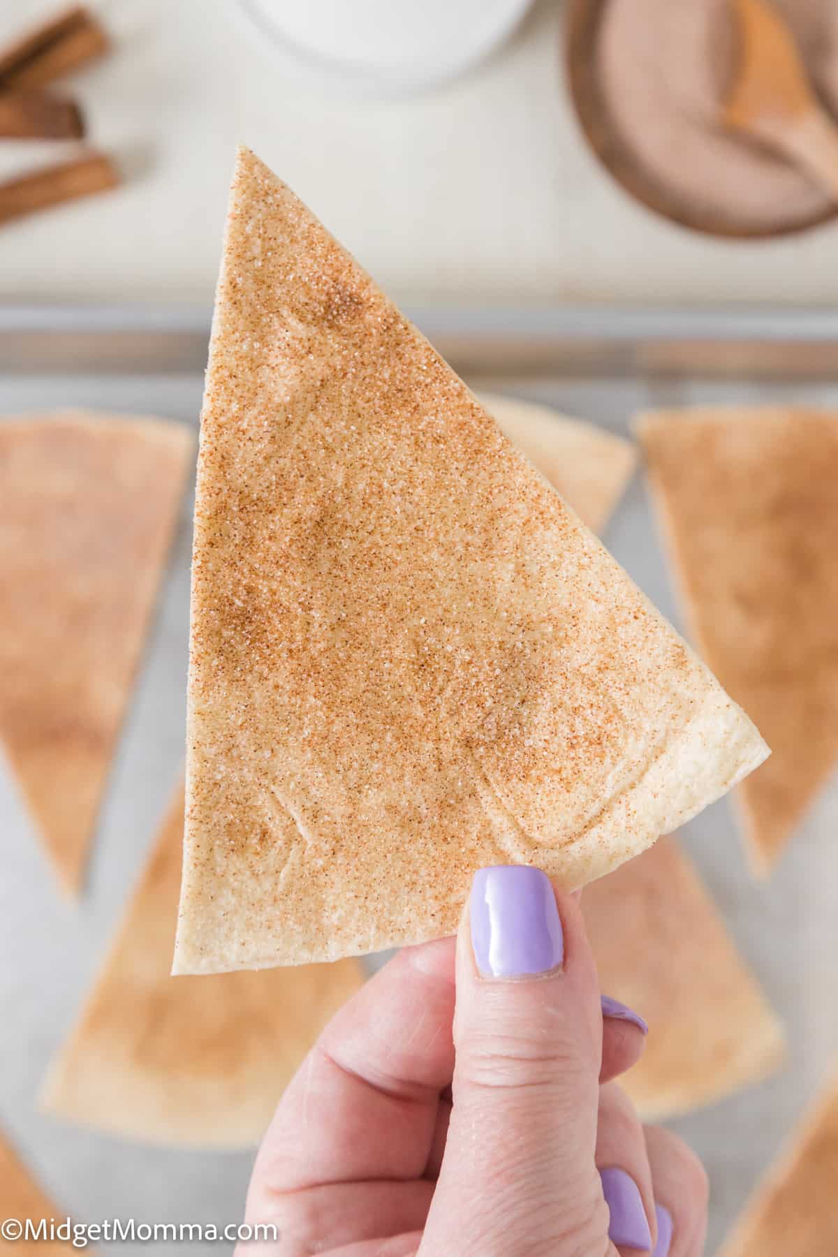 close up photo of a hand holding a cinnamon sugar chip