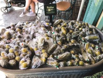 Pickels at Disneyland