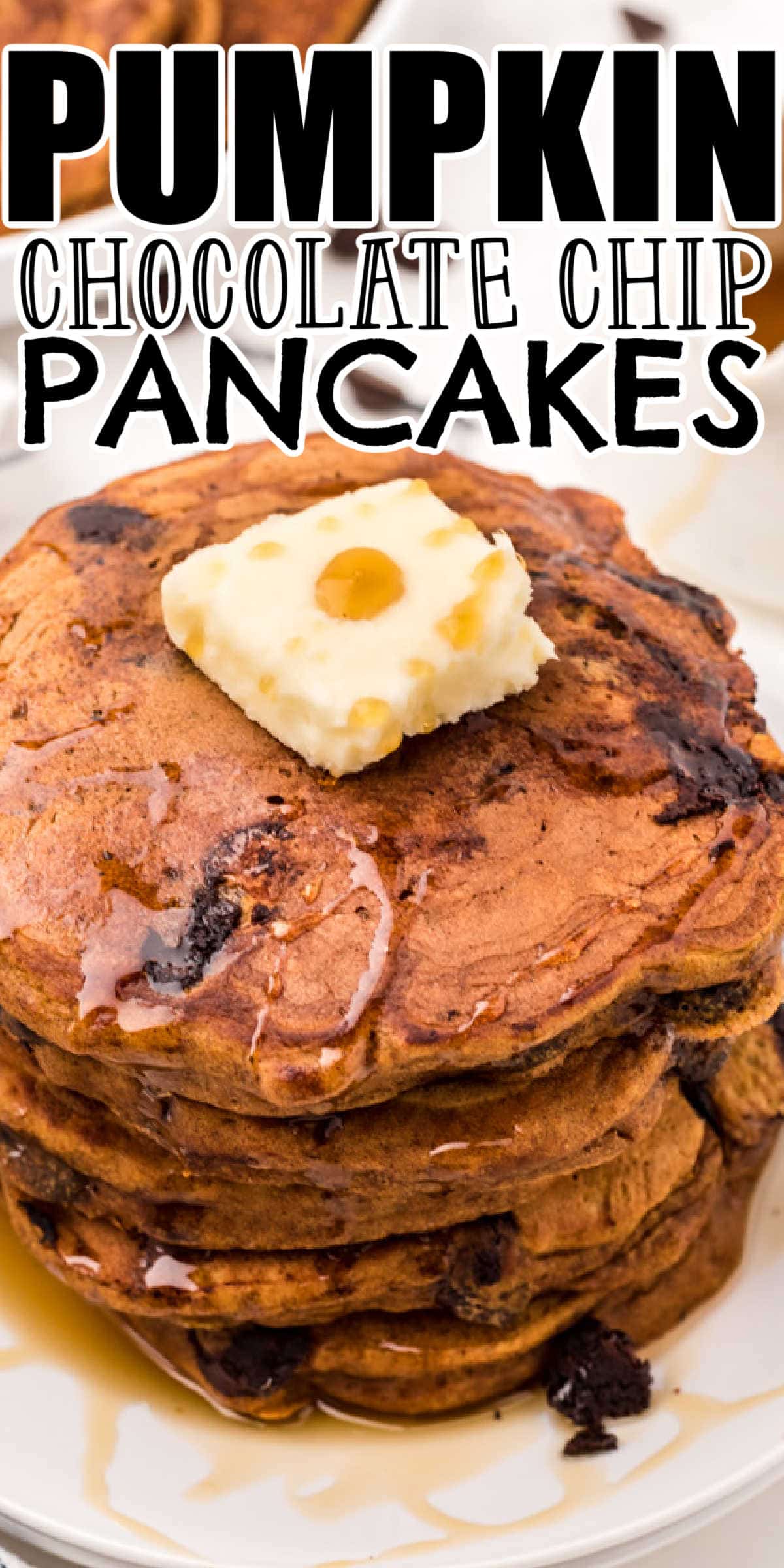 Pumpkin Chocolate Chip Pancakes • MidgetMomma