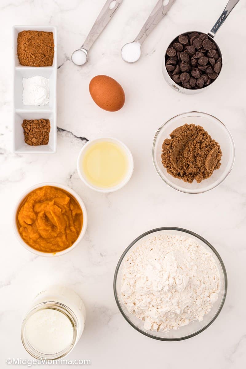 Pumpkin Chocolate Chip Pancakes ingredients 