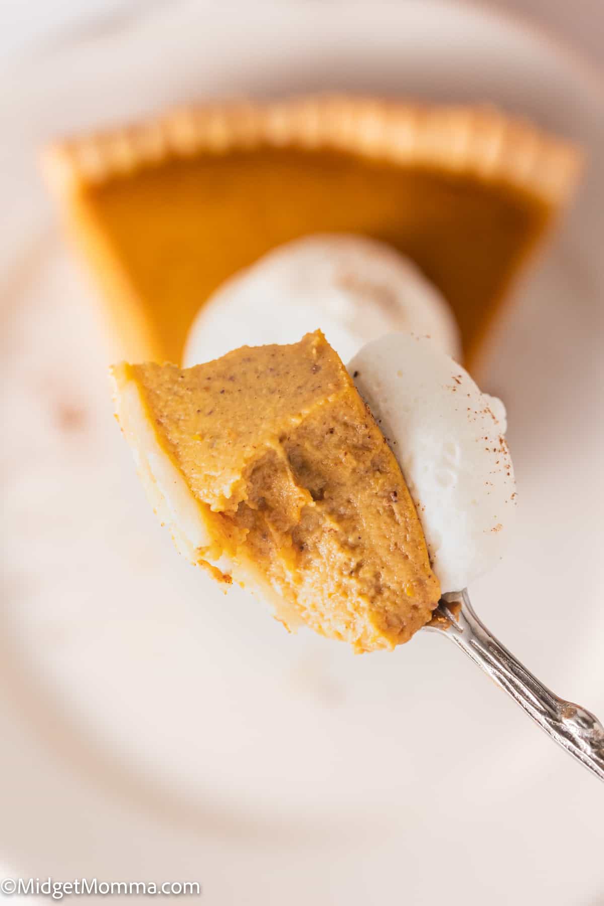 Fork full of pumpkin pie