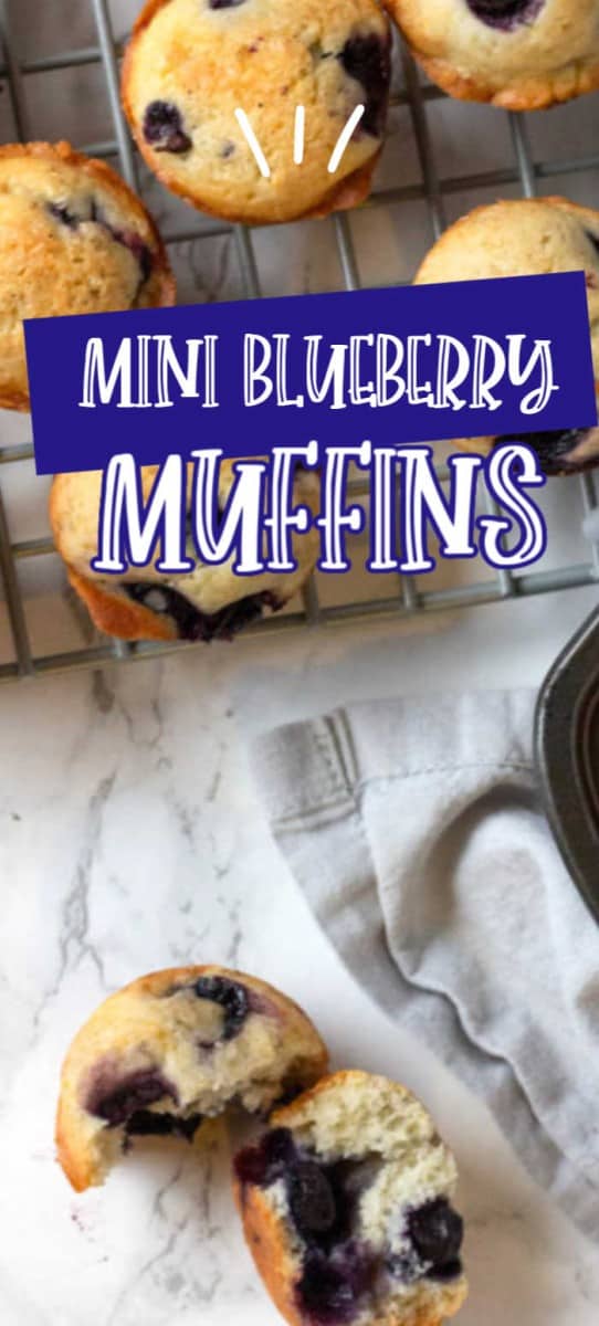 Best Mini Blueberry Muffins – Broken Oven Baking