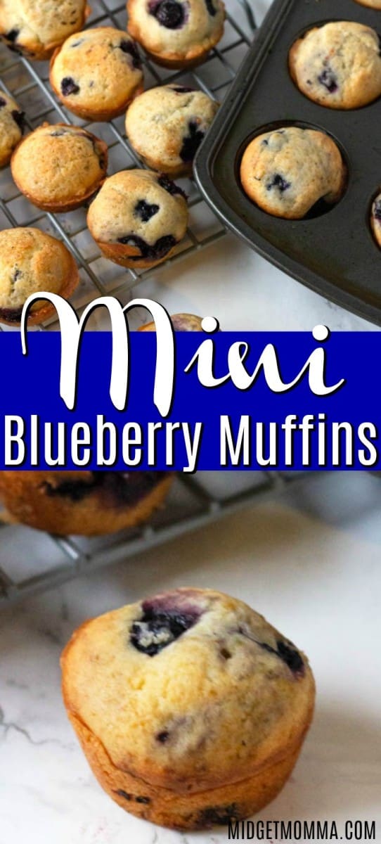 Moist & Delicious The Best Mini Blueberry Muffins Recipe • MidgetMomma