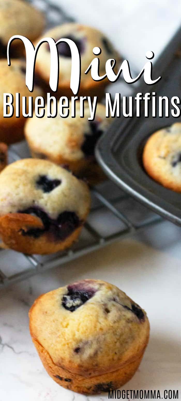 Moist & Delicious The Best Mini Blueberry Muffins Recipe • MidgetMomma