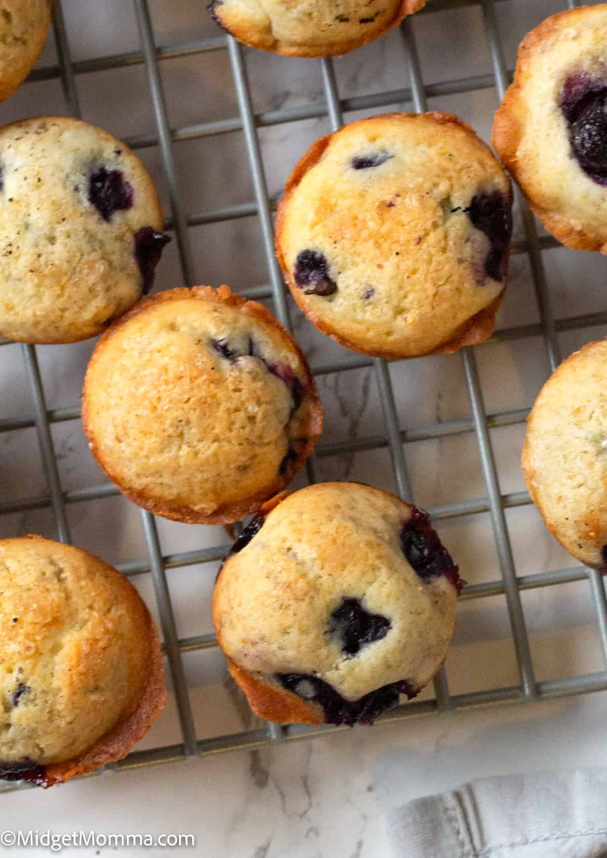 The Best Mini Blueberry Muffins Recipe