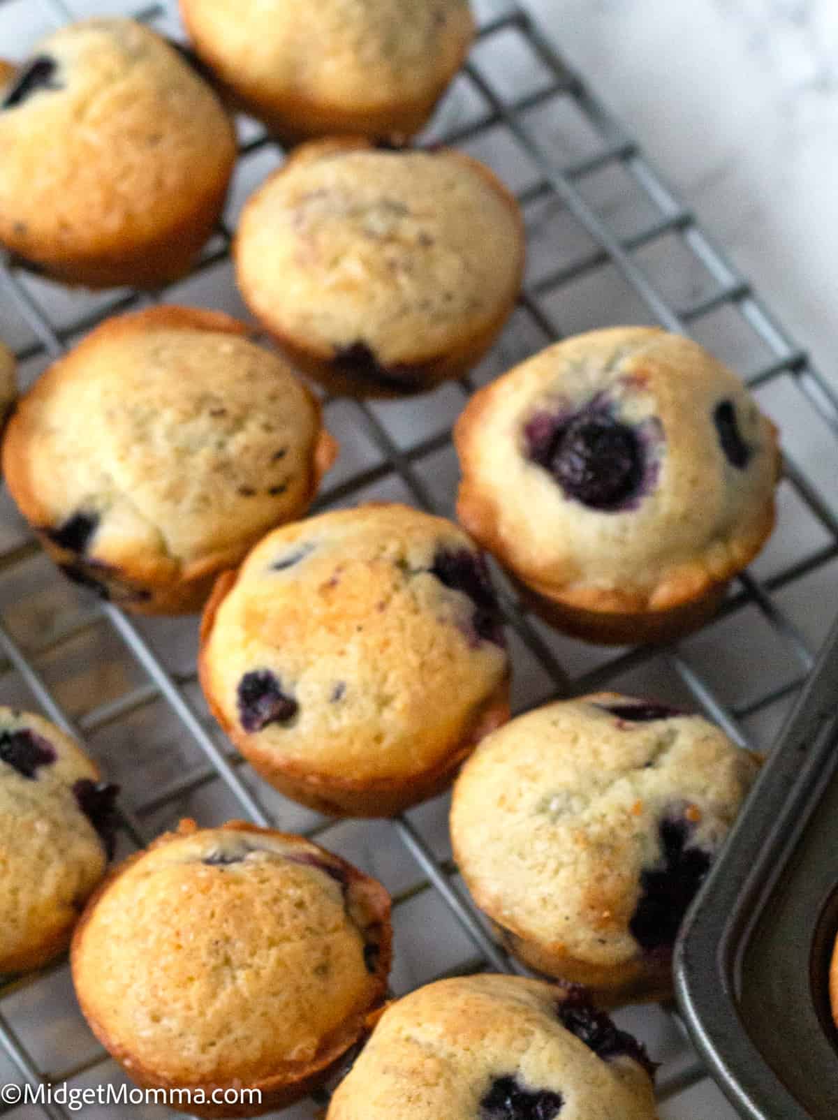 mini blueberry muffins recipe