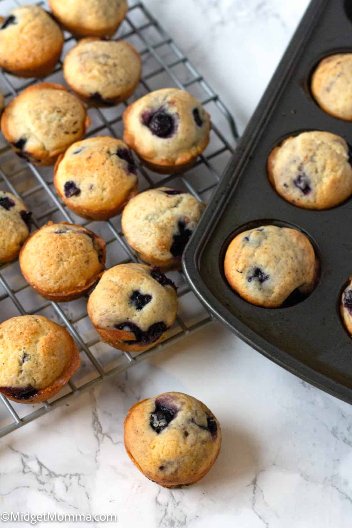 Mini Blueberry Muffins - The Short Order Cook