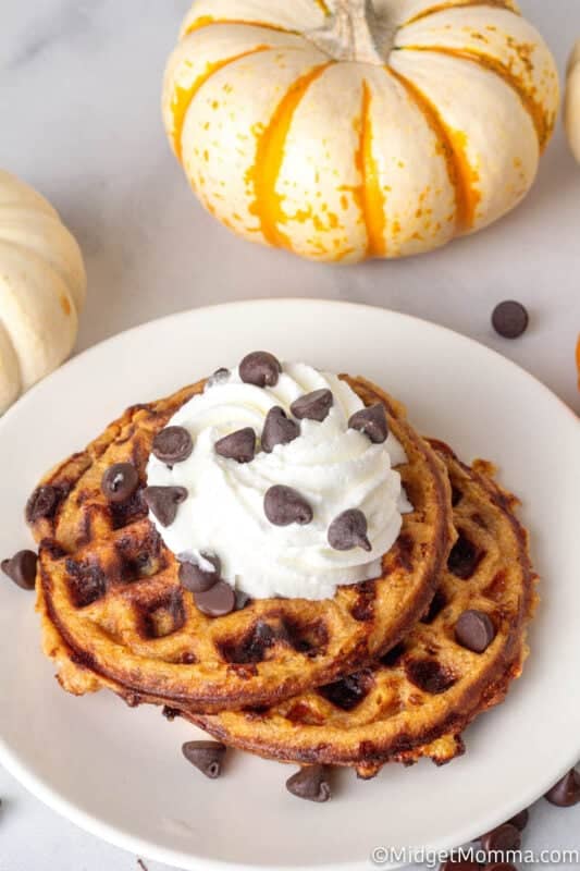 Pumpkin Chocolate Chip Chaffles • MidgetMomma