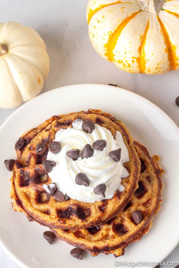 Pumpkin Chocolate Chip Chaffles • MidgetMomma