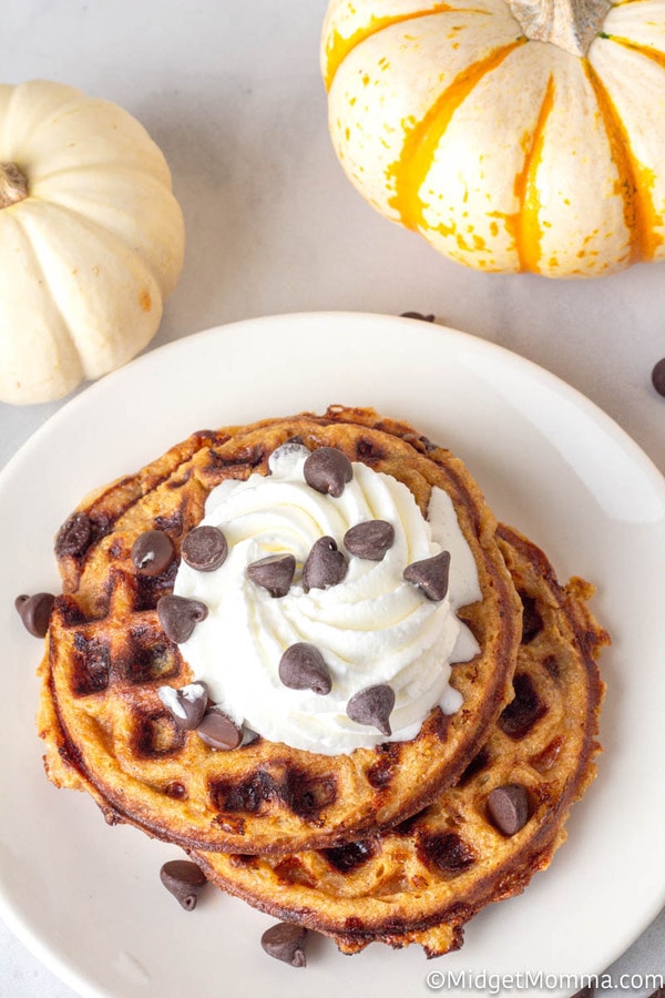 Pumpkin Chocolate Chip Chaffles