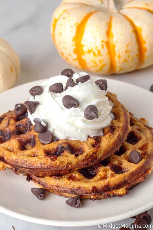 Pumpkin Chocolate Chip Chaffles • MidgetMomma
