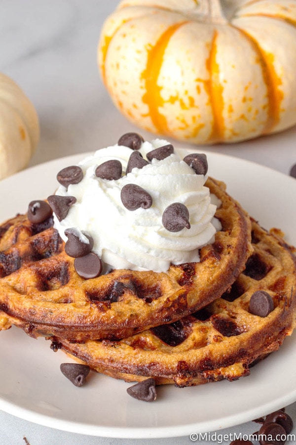 Pumpkin Chocolate Chip Chaffles