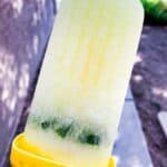 Boozy Pickle Keto Ice Pops